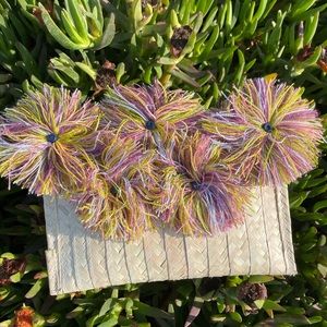Mexican Pampa Leaf Clutch